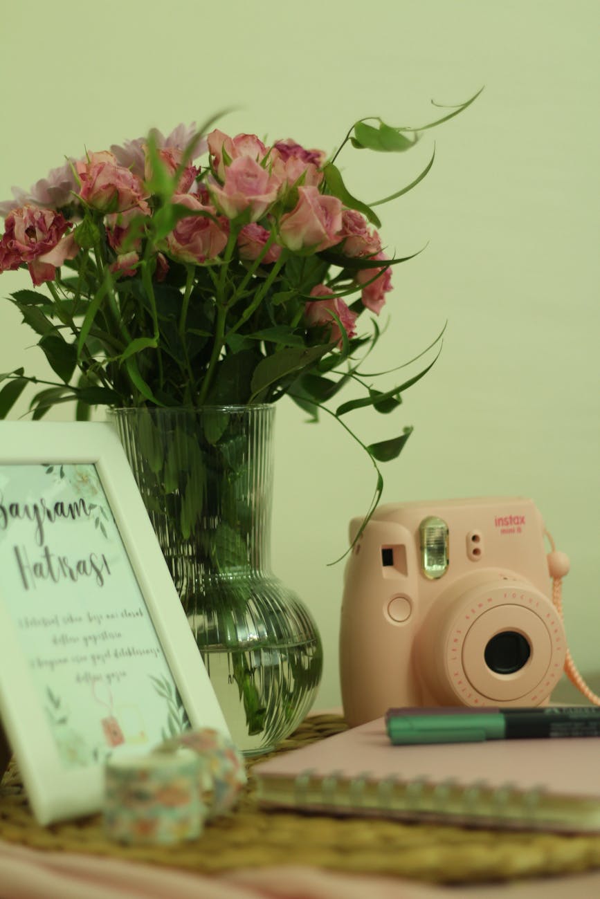 Soft Girl Capitalism